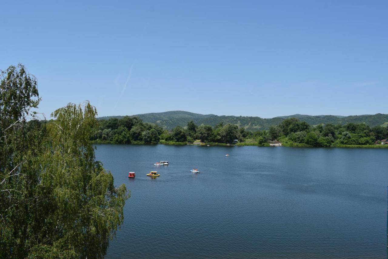 Spa Koncept-Apartmani Veliko Gradiste Bagian luar foto